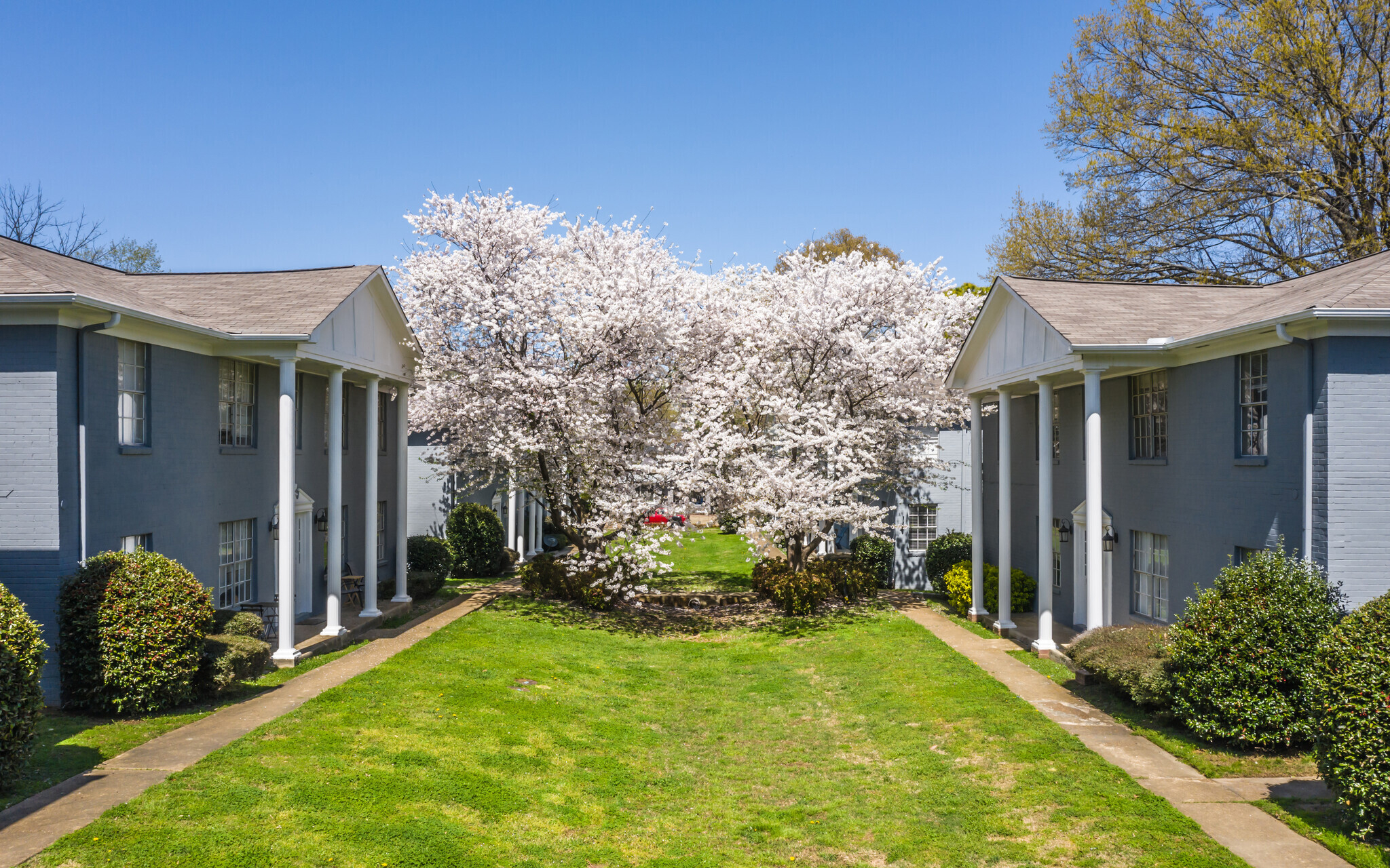 901 Midtown Rentals 